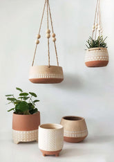Boho Star Planter (set of 5)