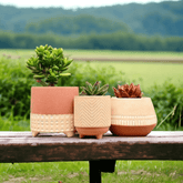 Five Star Planters (Set of 3) - Decor Things