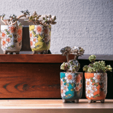 Periwinkle Flower Planter - Decor Things