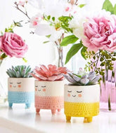 Smiling Planter (Set of 3) - Decor Things