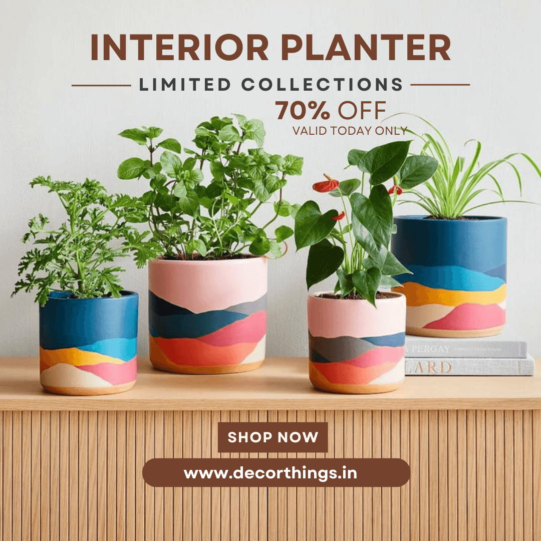 Planters Gallery - Decor Things