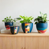 ONLINE PLANTERS IN INDIA SET OF  4