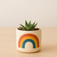 Retro Planter Set of 4