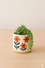 Retro Planter Set of 4