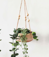 Boho Star Planter (set of 5)