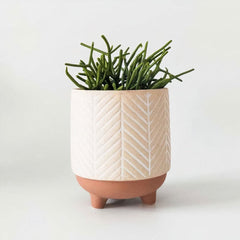 Boho Star Planter (set of 5)