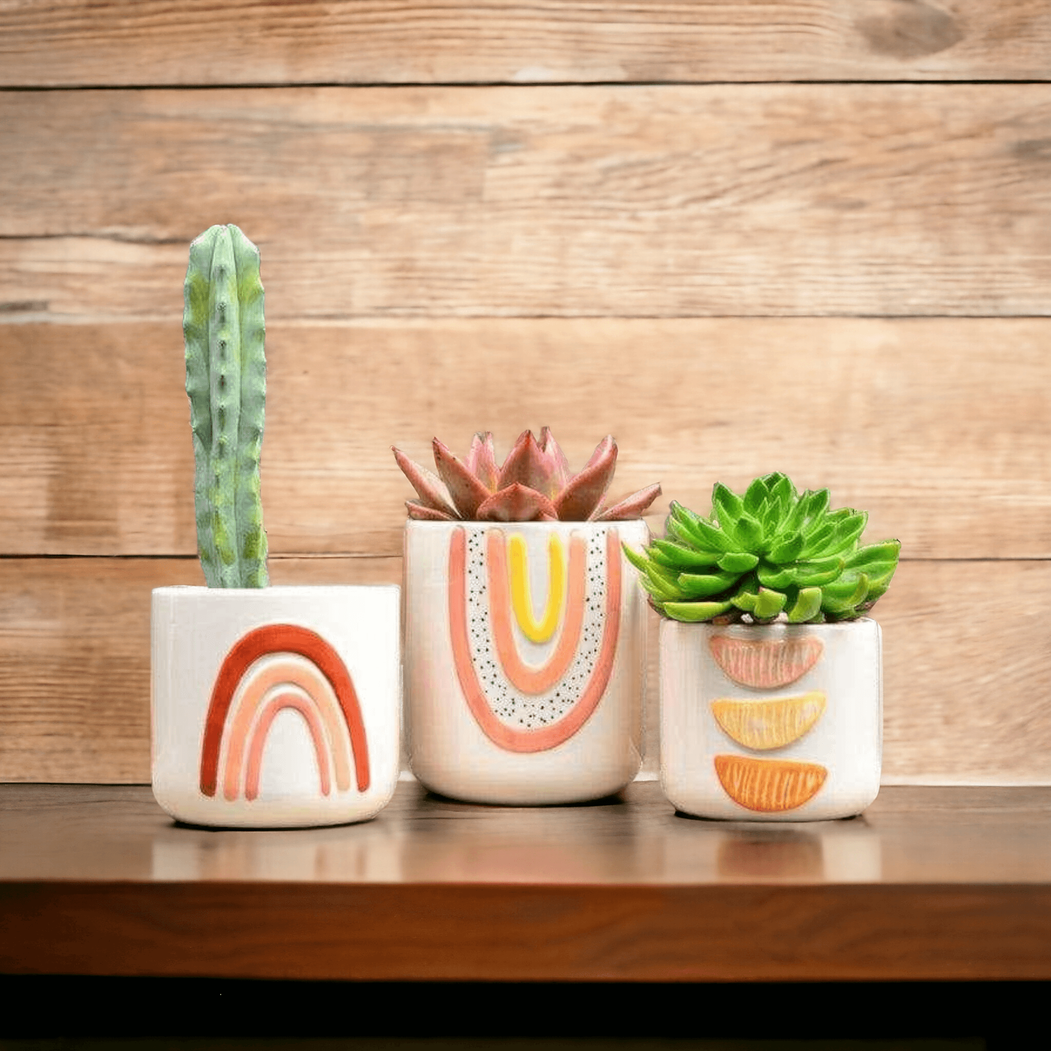 Abstract Rainbow Planters (Set of 3) - Decor Things