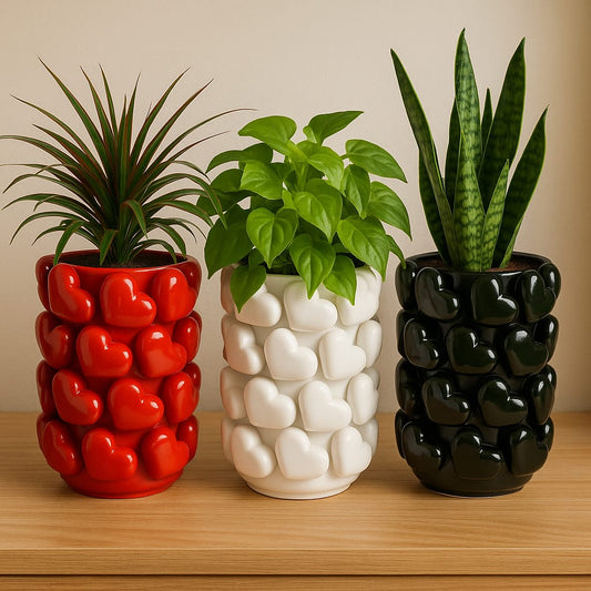 Three indoor plants in red, white, and black ceramic pots with heart patterns on wooden table