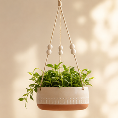 Beat Planter (set of 5)