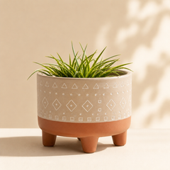 Beat Planter (set of 5)