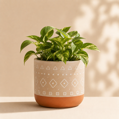 Beat Planter (set of 5)
