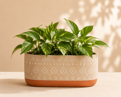Beat Planter (set of 5)