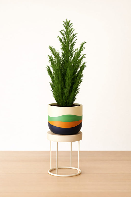 Bloom Planter (Set of 4)