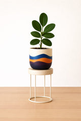 Bloom Planter (Set of 4)