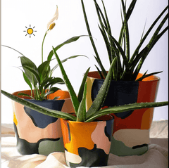 Cameo Bundle Planter Set of 3 - Decor Things