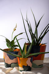 Cameo Bundle Planter Set of 3 - Decor Things