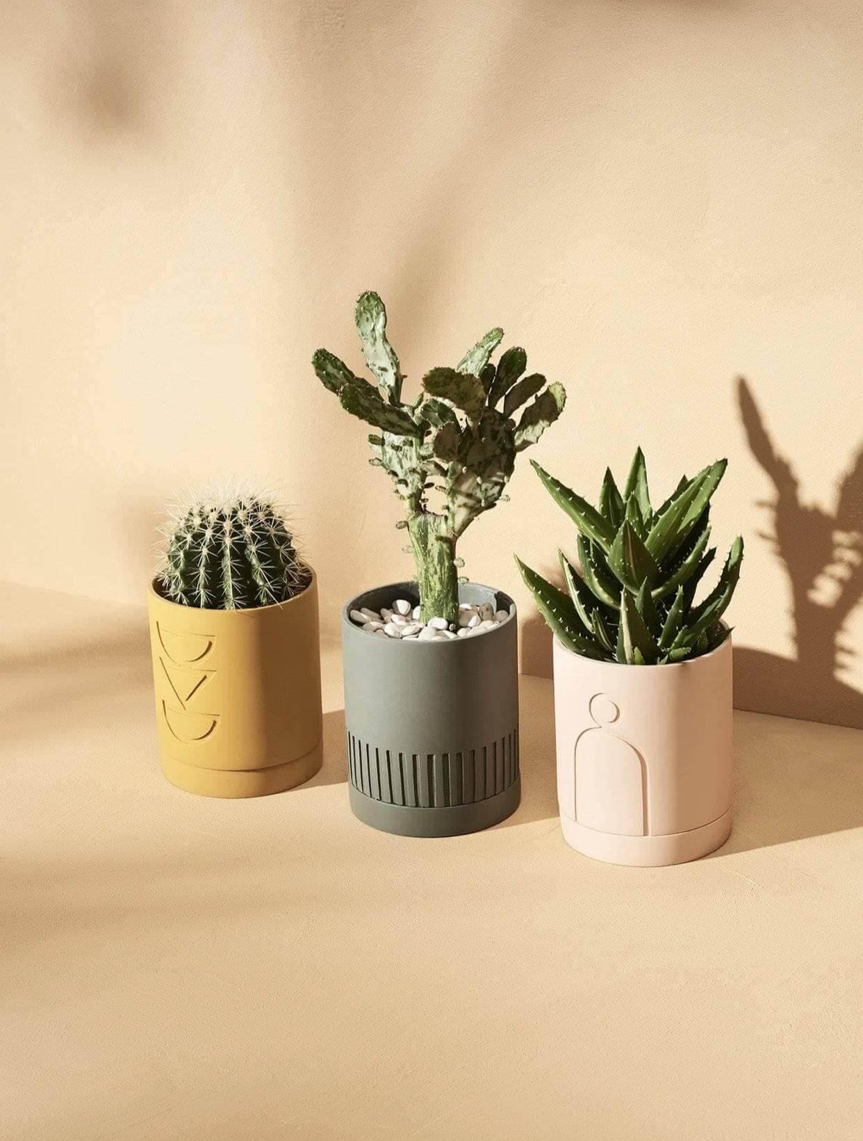 Carved Planter (Set Of 4) - Decor Things