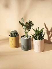 Carved Planter (Set Of 4) - Decor Things