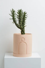Carved Planter (Set Of 4) - Decor Things