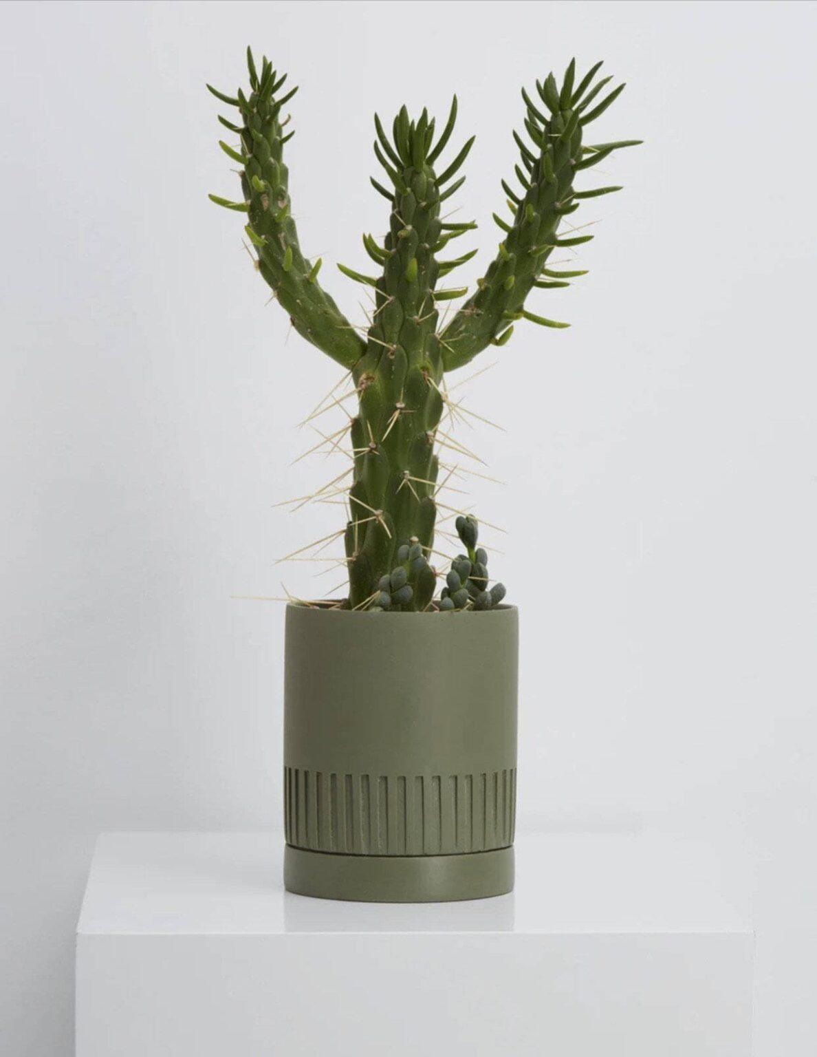 Carved Planter (Set Of 4) - Decor Things