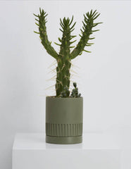 Carved Planter (Set Of 4) - Decor Things