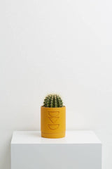 Carved Planter (Set Of 4) - Decor Things