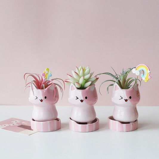 set of 3 Cute planters /face terracotta planter used as succulent pots
