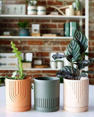 Etched Planter (SET OF 3) - Decor Things