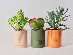 Etched Planter (SET OF 3) - Decor Things