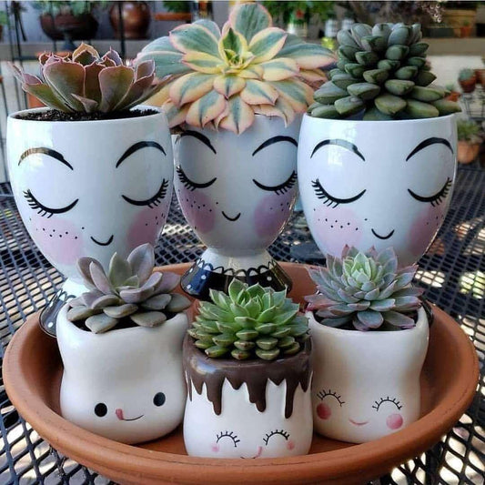 eyelash plant pot Eyelash planter – Decor Things