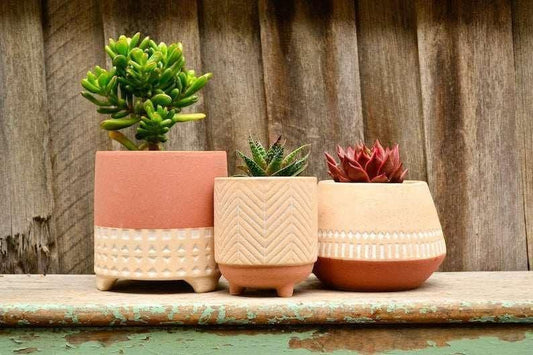 Five Star Planters (Set of 3) - Decor Things