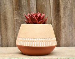 Five Star Planters (Set of 3) - Decor Things