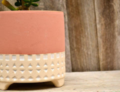 Five Star Planters (Set of 3) - Decor Things