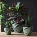 Leaf Planter Set of 3 - Decor Things