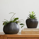 Queen Planter (Set of 2) - Decor Things