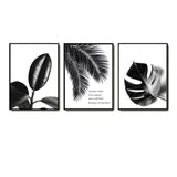 Modern Nature wall art set of 3 - Decor Things