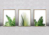 Sage green wall art set of 3 - Decor Things