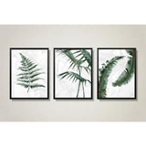 Botanical plant wall art set of 3 - Decor Things