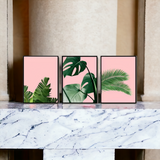 Pink tropical wall art set of 3 - Decor Things