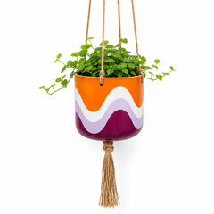Wave Hanging Planter Set of 4