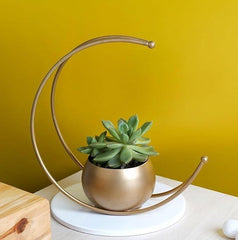 Crescent moon flower pot - Decor Things