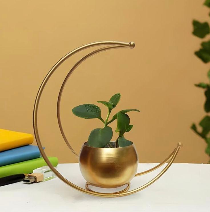 Crescent moon flower pot - Decor Things