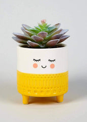 Smiling Planter (Set of 3) - Decor Things