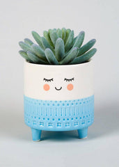 Smiling Planter (Set of 3) - Decor Things