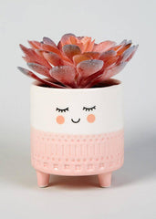 Smiling Planter (Set of 3) - Decor Things