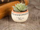 So Loved planter (Free Planter please don't order this single) - Decor Things