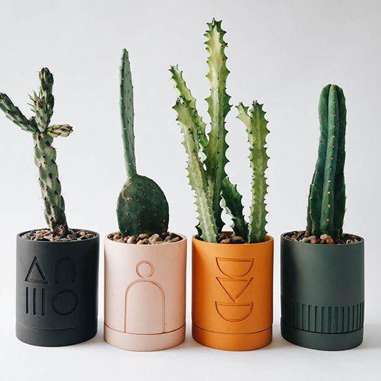 Spring Planter (SET OF 5) - Decor Things