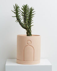 Spring Planter (SET OF 5) - Decor Things