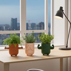 Mood Planter (Set of 4)